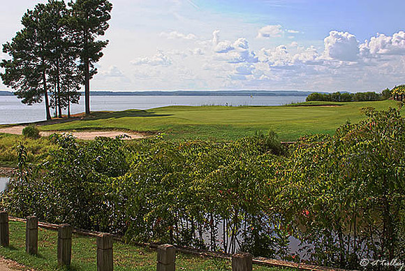 Cypress Bend #17