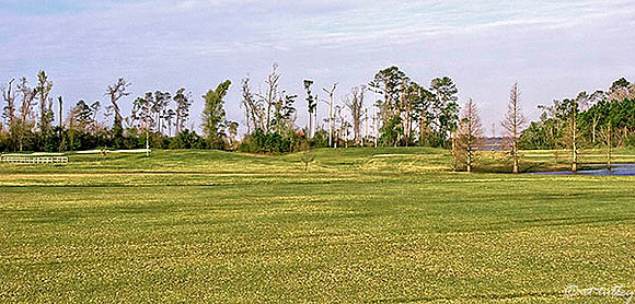 Gray Plantation from #3 fairway