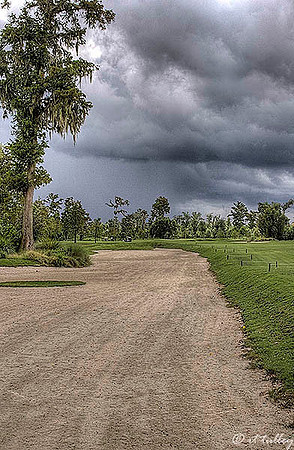 TPC Louisiana #12