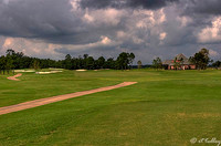 Gray Plantation #2