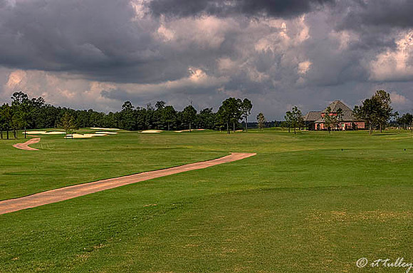 Gray Plantation #2