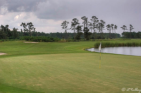 Gray Plantation #14