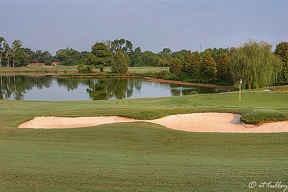 Oakwing GC #3