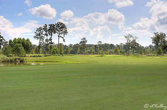 TPC Louisiana #6