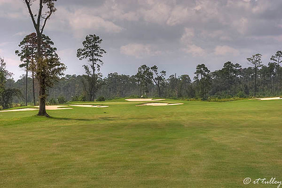 Gray Plantation #10