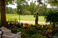 Cypress Bend #18 green