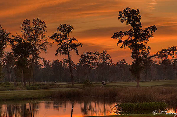 TPC Louisiana #18