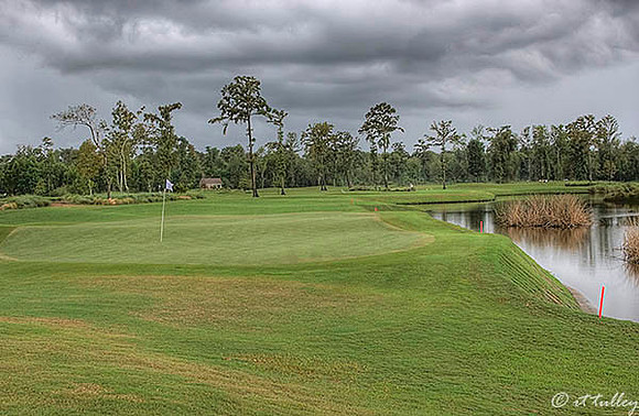 TPC Louisiana #17