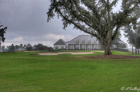 Gray Plantation #18