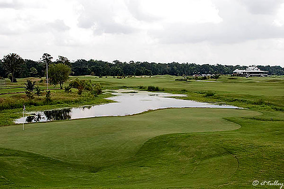 Atchafalaya #13 Green