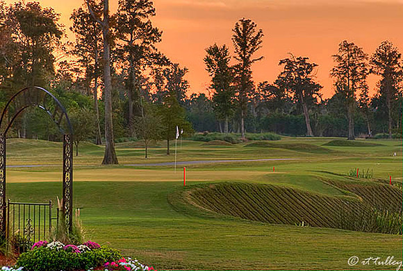 TPC Louisiana #9
