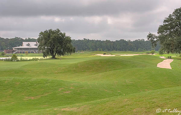 Atchafalaya #16
