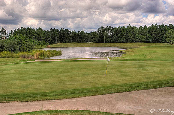 Gray Plantation #13