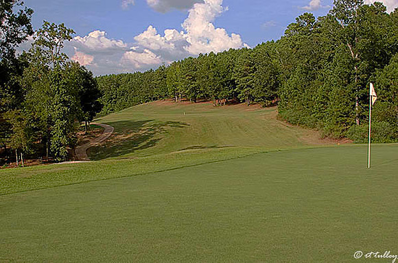 Cypress Bend #5