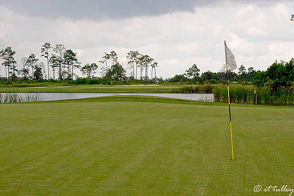 Gray Plantation #15 green