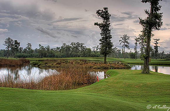 TPC Louisiana #17