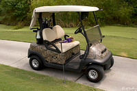 Atchafalaya Camouflage Cart