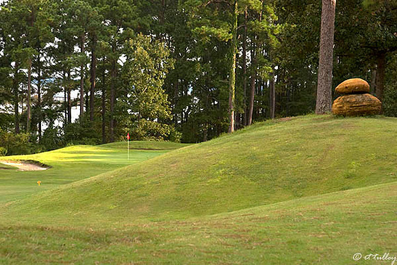 Cypress Bend #7