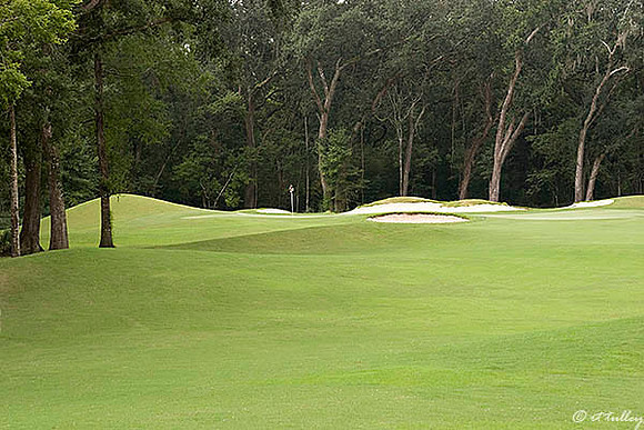 Atchafalaya #2