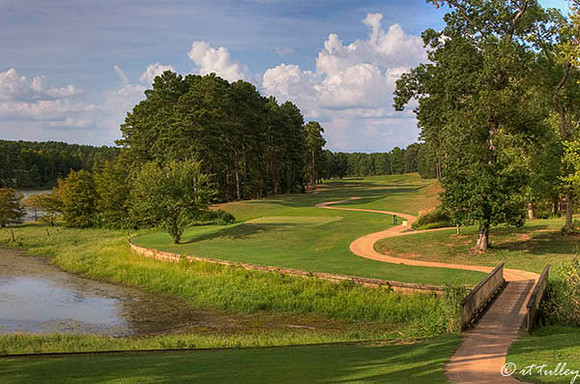 Cypress Bend #6