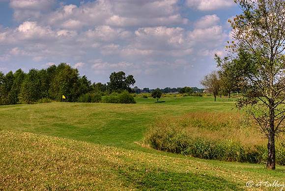 Olde Oaks Meadow #3 green