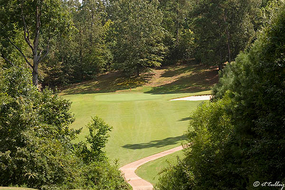 Cypress Bend #13