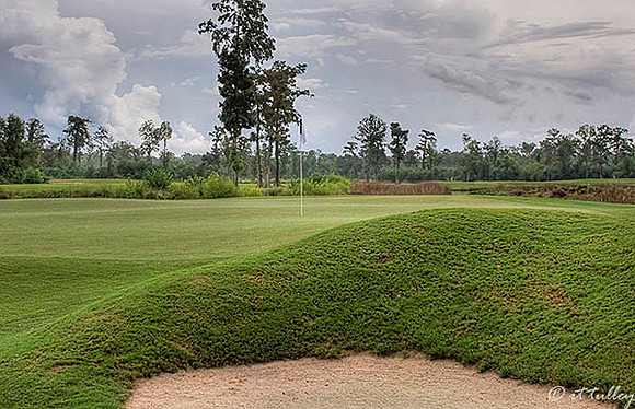 TPC Louisiana #16