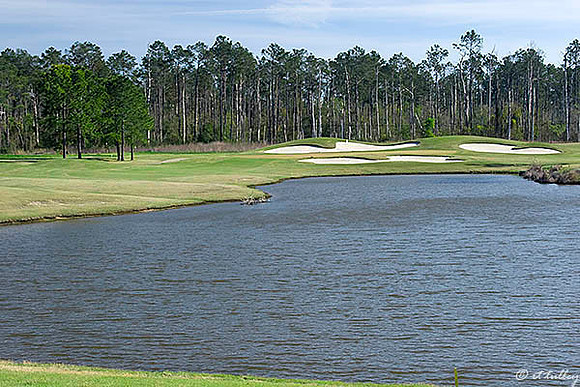 Gray Plantation #13