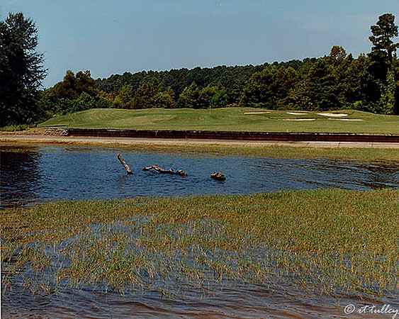 Cypress Bend #14