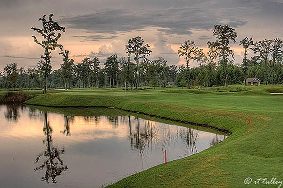 TPC Louisiana #16