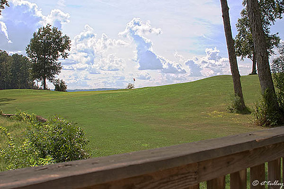 Cypress Bend #16