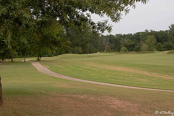 Tamahka Trails #5