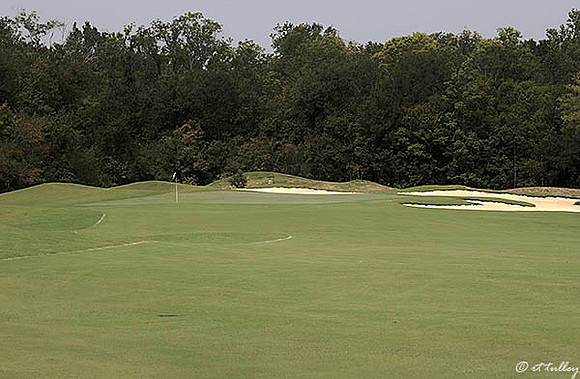 Atchafalaya #3
