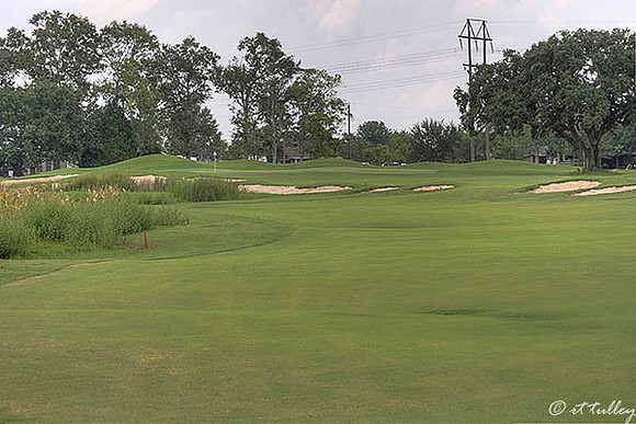 Atchafalaya #14