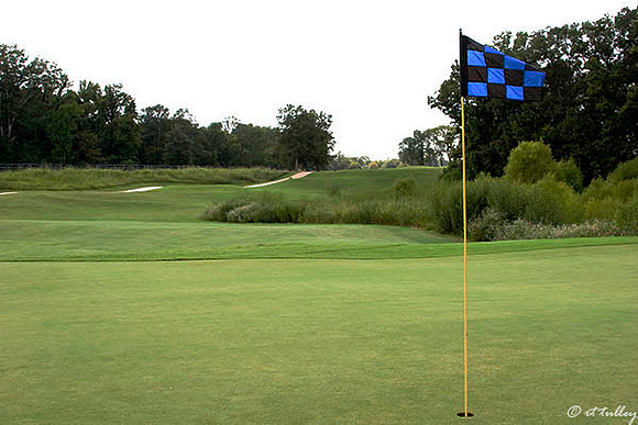 Black Bear GC #6 Green
