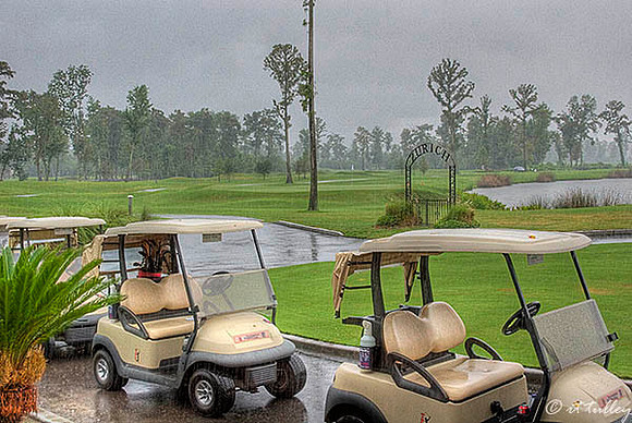 TPC Louisiana Carts