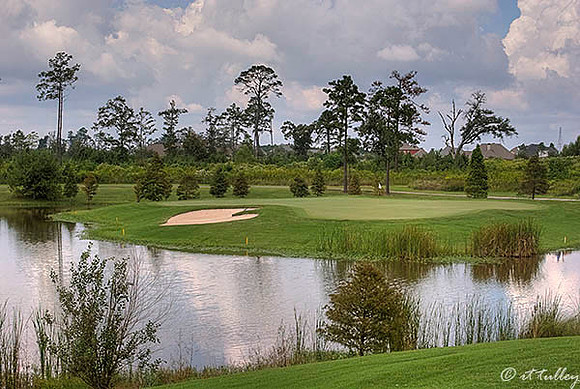 Gray Plantation #17