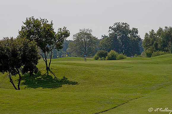 Olde Oaks Meadow #2