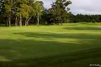 Atchafalaya #7 green
