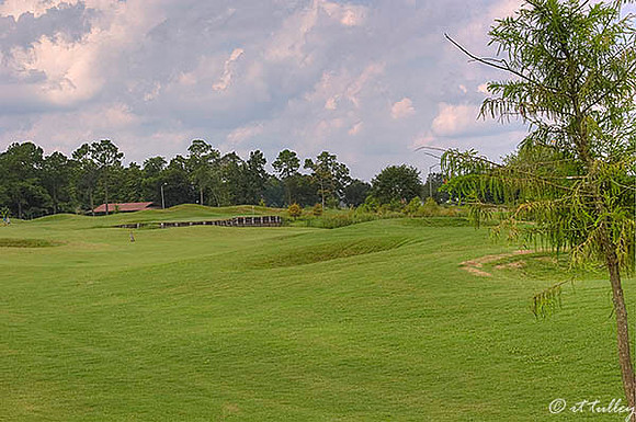 Atchafalaya #13