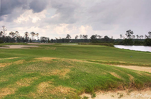 Gray Plantation #16