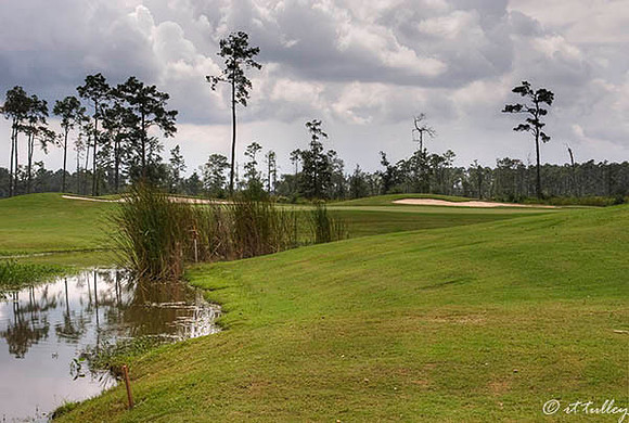 Gray Plantation #11