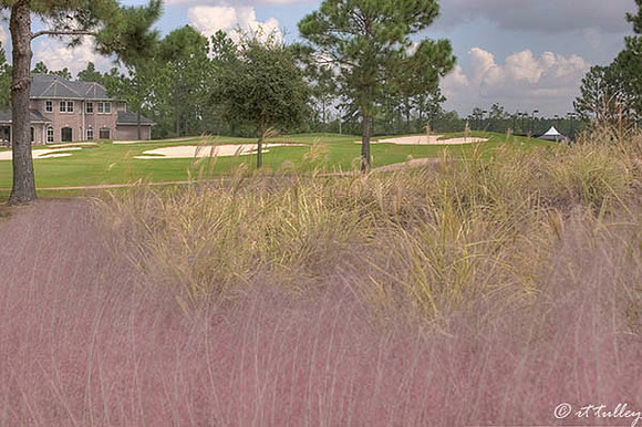 Gray Plantation #9