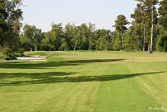 TPC Louisiana #1