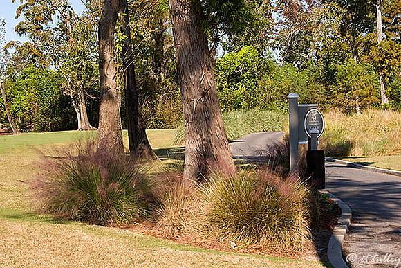 TPC Louisiana Tee Marker