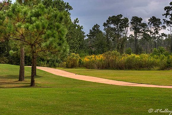 Gray Plantation #12