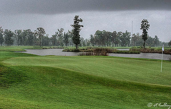 TPC Louisiana #17