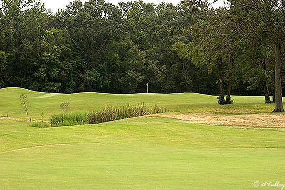 Atchafalaya #10 green