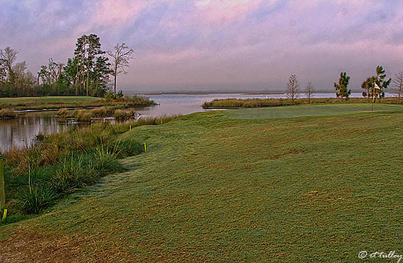 Gray Plantation #6