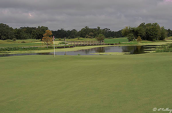 Atchafalaya #18 Green